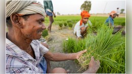 Rajasthan: किसानों के लिए खुशखबरी, 30 जून तक कर लिया ये काम तो 100 फीसदी ब्याज होगा माफ!