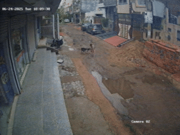 Rajasthan: कोटा में डेढ़ साल के बच्चे को कुत्तों ने नोचा, 3-4 फीट तक घसीटा  Rajasthan: कोटा में डेढ़ साल के बच्चे को कुत्तों ने नोचा, 3-4 फीट तक घसीटा