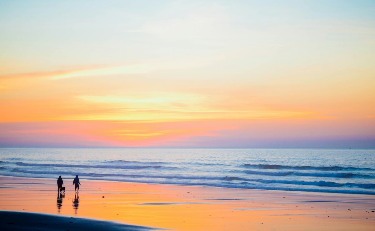 showquick read Резюмето е генерирано от AI рецензирана новина Индия