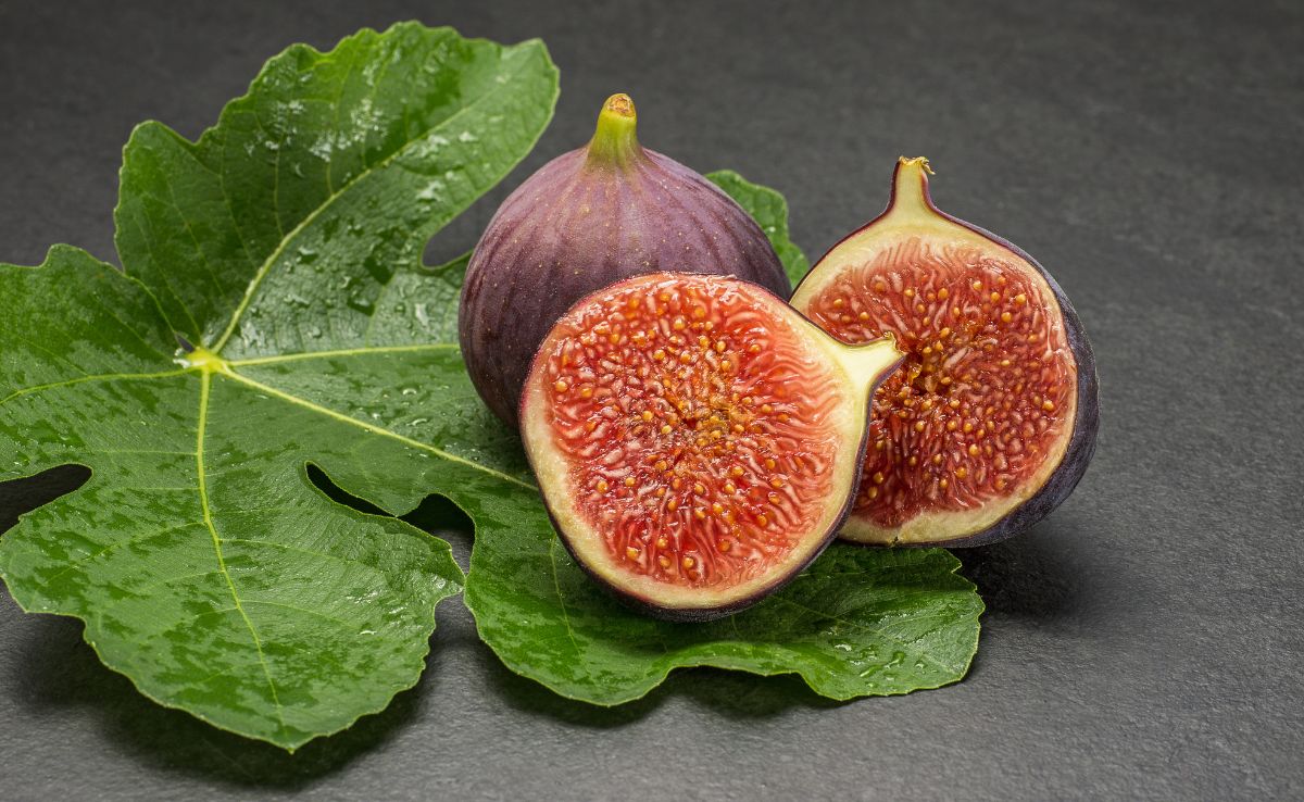 What Happens When You Eat Soaked Anjeer Every Day For A Month