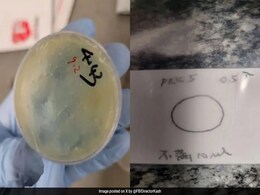 Chinese PhD Student From Wuhan Tries To Smuggle "Biological Materials" To US Chinese PhD Student From Wuhan Tries To Smuggle "Biological Materials" To US
