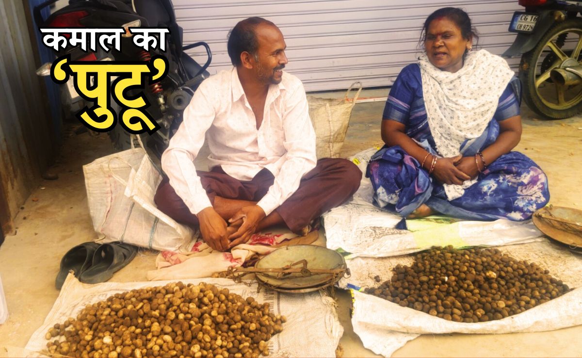 Putu Vegetables: मटन, चिकन और पनीर पड़ गया फीका! जानें, क्यों इतनी डिमांड में है 800 रुपए किलो का 'पुटू'