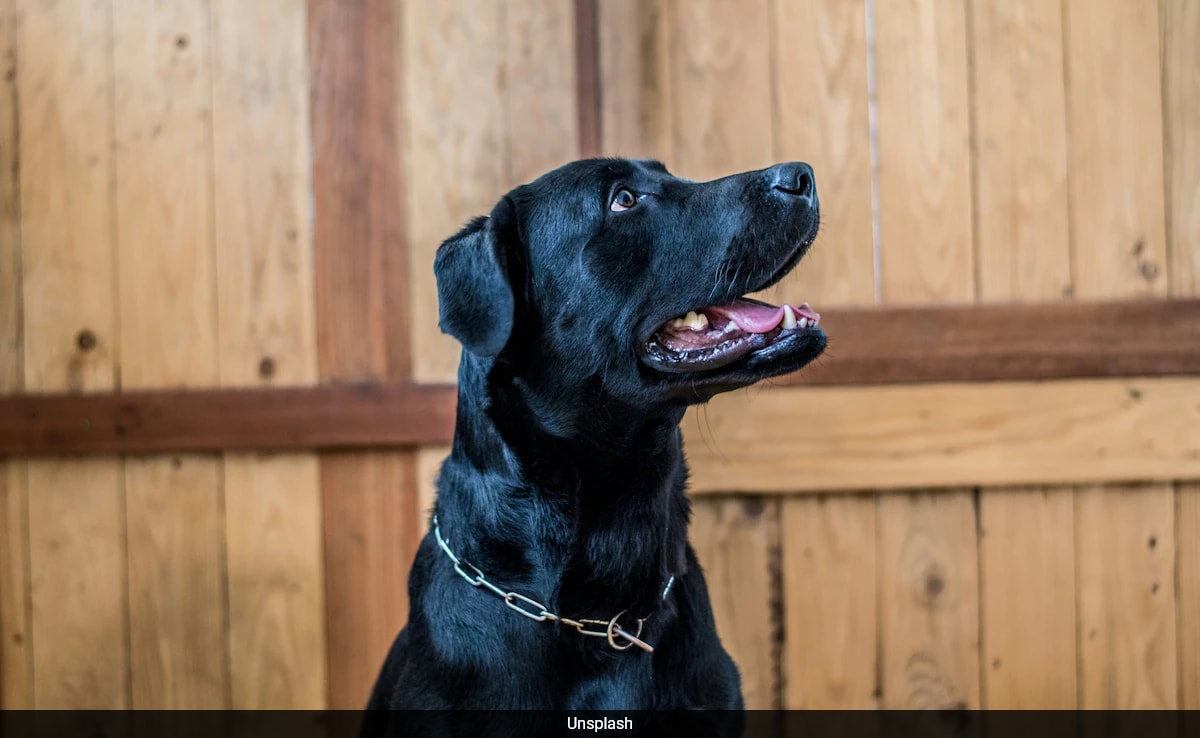 смущаващ инцидент на живо в Китай е задействал широко възмущение