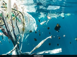 Our Oceans Are In Trouble: Here's How To Take Action Beyond The Outrage Our Oceans Are In Trouble: Here's How To Take Action Beyond The Outrage