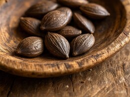 सुबह खाली पेट चबाकर खा लें करंज के बीज, इन समस्याओं में औषधि से कम नहीं सुबह खाली पेट चबाकर खा लें करंज के बीज, इन समस्याओं में औषधि से कम नहीं