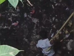 Satna News :  सतना में मौत के कुएं में मिला तीन माह का जिंदा बच्चा, रेस्क्यू टीम ने सलामत निकाला Satna News :  सतना में मौत के कुएं में मिला तीन माह का जिंदा बच्चा, रेस्क्यू टीम ने सलामत निकाला