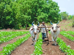 Assembly Session : शेतकऱ्यांची सावकारांच्या जाचातून होणार सुटका, सरकारचा महत्वपूर्ण निर्णय