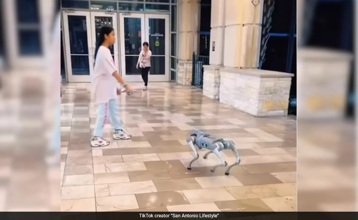 Showquick Read Резюмето е генерирано от AI рецензирана новина Кучетата