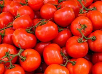 The Ultimate Tomato Guide: 7 Popular Types Of Tomatoes You Should Know About The Ultimate Tomato Guide: 7 Popular Types Of Tomatoes You Should Know About