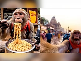 आखिर कौन है यह 'बबलू बंदर'? जो बना हुआ है इंटरनेट सेंसेशन, घूमने और ब्लॉगिंग का है शौक आखिर कौन है यह 'बबलू बंदर'? जो बना हुआ है इंटरनेट सेंसेशन, घूमने और ब्लॉगिंग का है शौक