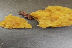 Video: Man Finds Cockroach In Andhra Temple's 'Prasad', Official Denies It Video: Man Finds Cockroach In Andhra Temple's 'Prasad', Official Denies It