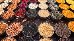 Health: किण्वित दालों से सेहत को नई ताकत, एंटीऑक्सीडेंट और मधुमेह रोकने में सहायक&nbsp;