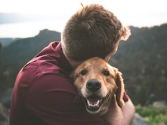 Is Your Pet Getting You Sick? How To Prevent It