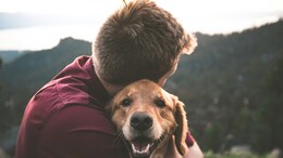 Is Your Pet Getting You Sick? How To Prevent It