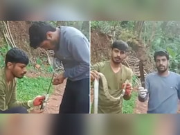VIDEO: शिकार के चक्कर में 1 फुट लंबा चाकू निगल बैठा कोबरा, दिल दहला देगा रेस्क्यू ऑपरेशन VIDEO: शिकार के चक्कर में 1 फुट लंबा चाकू निगल बैठा कोबरा, दिल दहला देगा रेस्क्यू ऑपरेशन