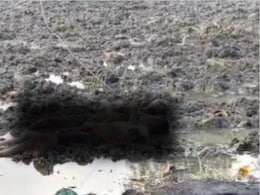 Electric Shock: कांकेर में करंट लगने से 2 की मौत, खेत में लगे बोर कनेक्शन सुधारने गए थे, जांच में जुटी पुलिस