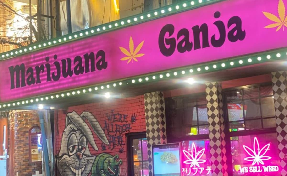 Thai Cannabis Shops Face Uncertainty As Government Plans Stricter Rules