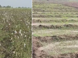 Jalna News : अतिवृष्टी अनुदानात कोट्यवधींचा घोटाळा, अंतिम अहवाल जिल्हाधिकाऱ्यांकडे सादर