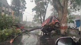 Indore Rain: बारिश ने गर्मी से दिलाई रात, आंधी से गिरे पेड़; बैतूल में भी घरों की छतें उड़ीं