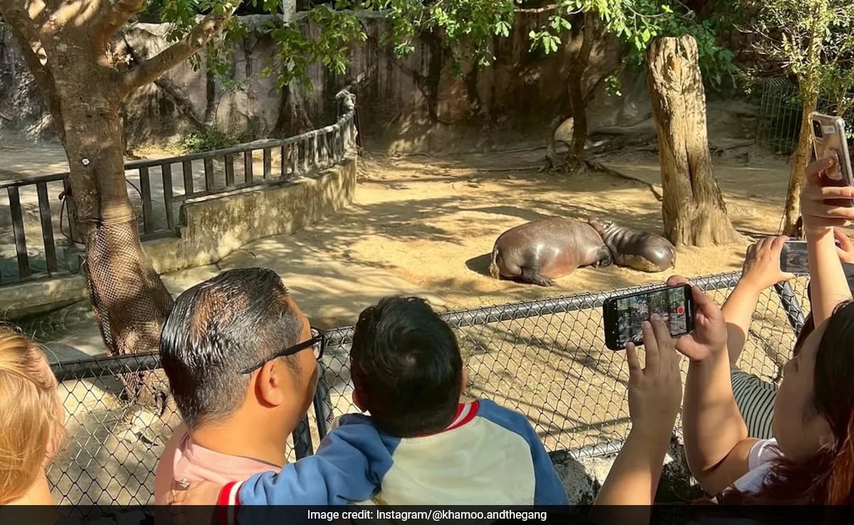 шестгодишно неизлечимо болно дете в Тайланд чиято най голяма мечта беше