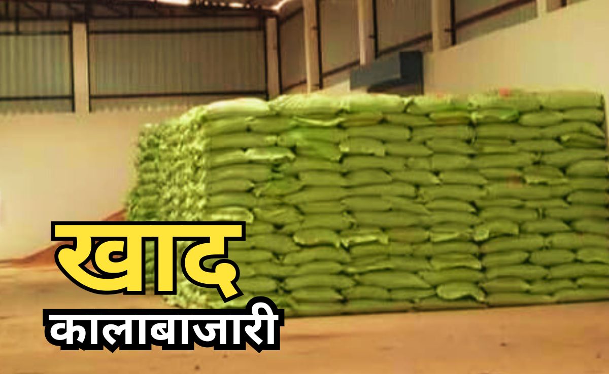 DAP Black Marketing: गोदाम में कहां से आया 500 बोरी डीएपी? सवाल पूछते ही मोबाइल बंद कर भागा मालिक