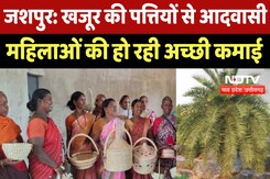 Jaspur News : Dates की पत्तियों से Tribal Women की हो रही अच्छी कमाई Jaspur News : Dates की पत्तियों से Tribal Women की हो रही अच्छी कमाई
