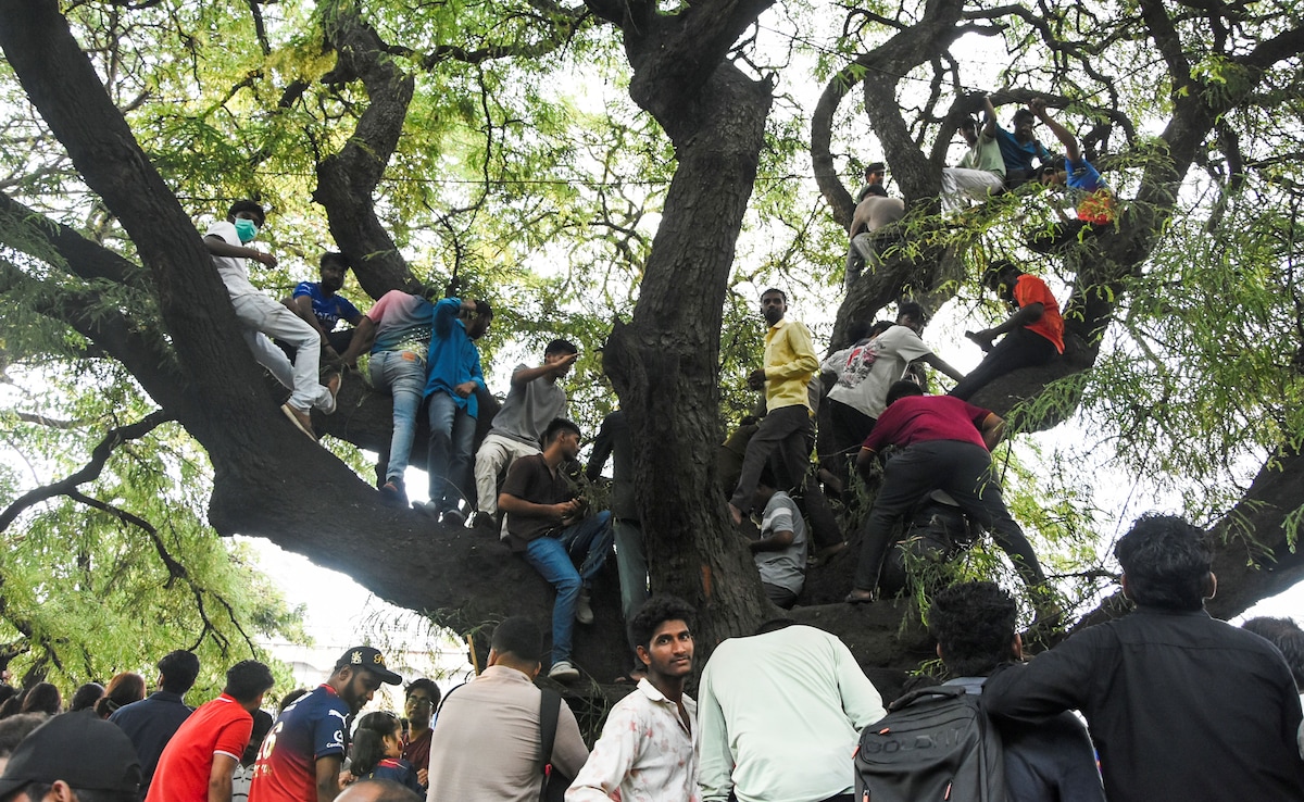 The main cause of the stampede was the collapse of crowd control at the entry points between 3:30 pm and 4:30 pm, according to the initial fact-finding report. The main cause of the stampede was the collapse of crowd control at the entry points between 3:30 pm and 4:30 pm, according to the initial fact-finding report.