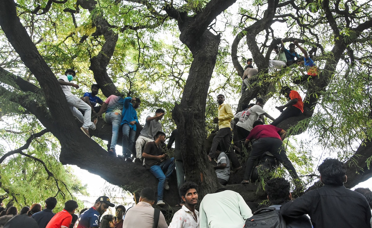 Вашингтон Лидерът на Конгреса Шаши Тарур нарече Stampede в Бенгалуру