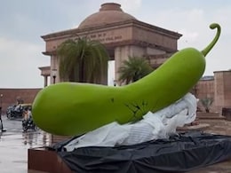 लखनऊ के चौराहे पर दिखी भारी-भरकम और विशालकाय लौकी, लोगों में मची हलचल, बोले- देख रहा है बिनोद... लखनऊ के चौराहे पर दिखी भारी-भरकम और विशालकाय लौकी, लोगों में मची हलचल, बोले- देख रहा है बिनोद...