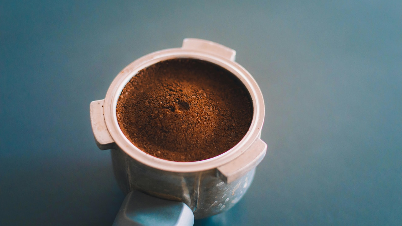 Best Coffee Powder For Your Brew Style: A Complete Guide To Choosing The Right Blend