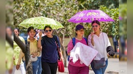 Delhi Records Highest Maximum Temperature For 1st Week Of March In 50 Years