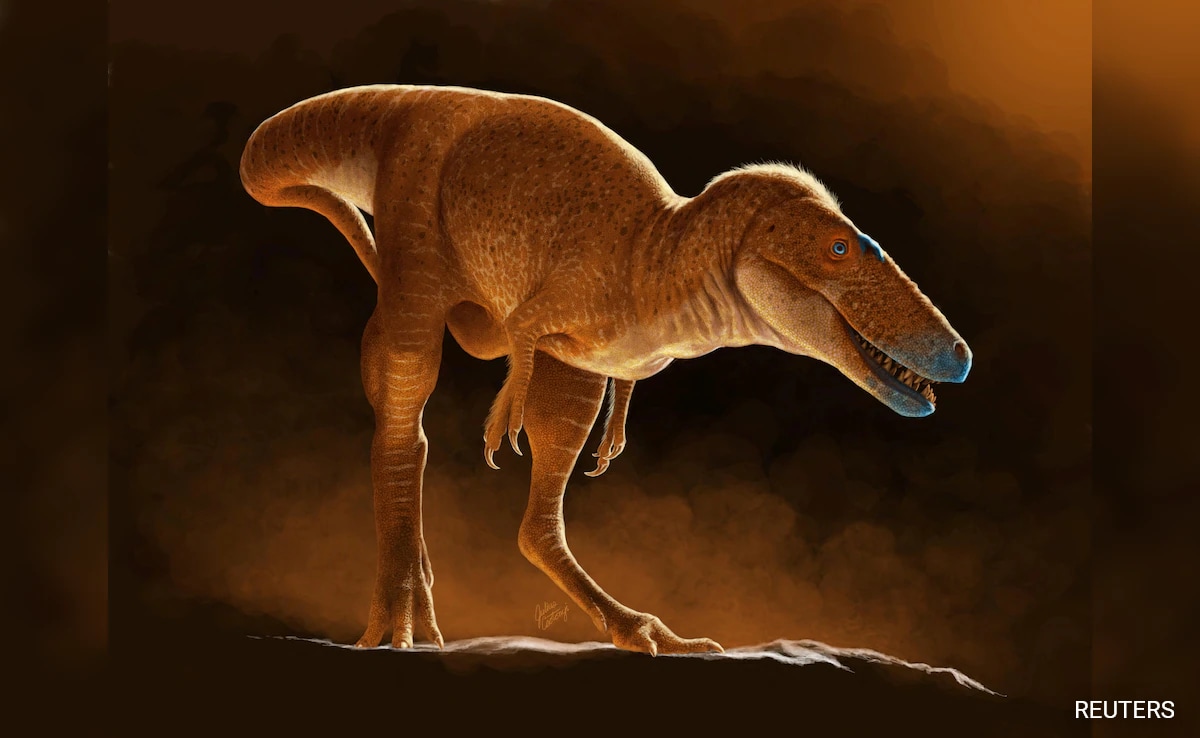 Showquick Read Резюмето е генерирано от AI рецензирана новина Нов