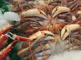 समुद्री खाने से फैल रहा है जरूरी एंटीबायोटिक कोलिस्टिन के प्रति प्रतिरोध- अध्ययन