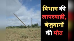 Cow Death: बिजली विभाग की बड़ी लापरवाही उजागर, पांच गोवंशों की मौत, जानें - पूरा मामला
