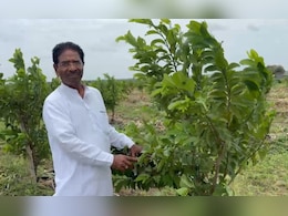 Agriculture Story: बार्शी तालुक्यातील सिताफळ किंग! माळरानावर शेती करत तयार केला स्वत:चा ब्रँड Agriculture Story: बार्शी तालुक्यातील सिताफळ किंग! माळरानावर शेती करत तयार केला स्वत:चा ब्रँड