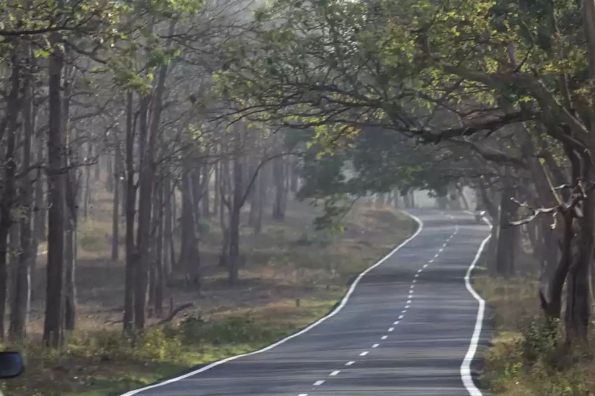 Bandipur Highway (Image Source- Tripoto)