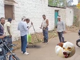Dog Bite: डॉग बाइट के एक दिन में 30 से ज्यादा मामले, जिला अस्पताल में कम पड़ रहे रेबीज के इंजेक्शन! 