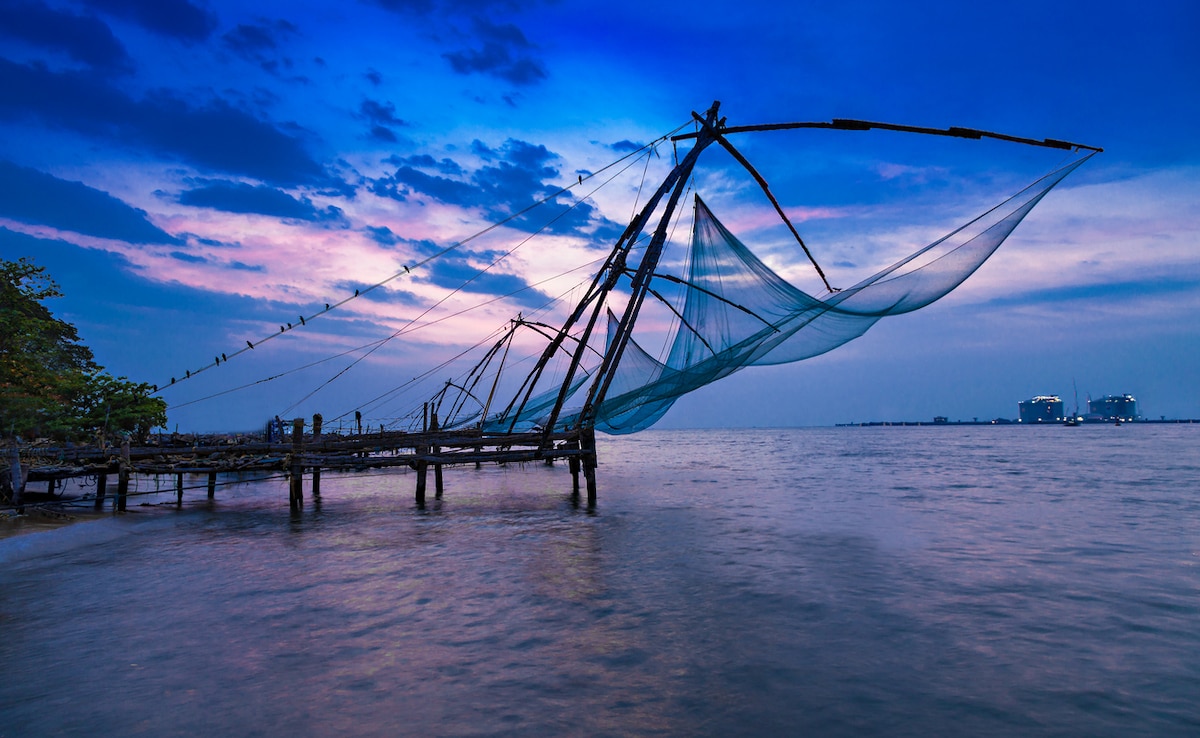 Photo: iStock Photo: iStock