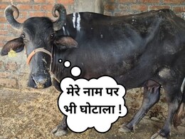 NDTV Big Impact: भैंस घोटाला मामले में प्रशासन की बड़ी कार्रवाई, 5 दबंगों पर FIR दर्ज  NDTV Big Impact: भैंस घोटाला मामले में प्रशासन की बड़ी कार्रवाई, 5 दबंगों पर FIR दर्ज