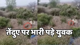 MP के श्योपुर में दो युवकों ने दिखाई गजब की हिम्मत, तेंदुए से भिड़कर खूंखार को उल्टे पांव भगाया, देखें Video