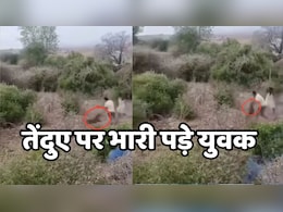 MP के श्योपुर में दो युवकों ने दिखाई गजब की हिम्मत, तेंदुए से भिड़कर खूंखार को उल्टे पांव भगाया, देखें Video