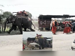 जब हाथी और घोड़े में हुई लड़ाई, डर के मारे आगे-आगे भागता दिखा हाथी; देखें VIDEO जब हाथी और घोड़े में हुई लड़ाई, डर के मारे आगे-आगे भागता दिखा हाथी; देखें VIDEO