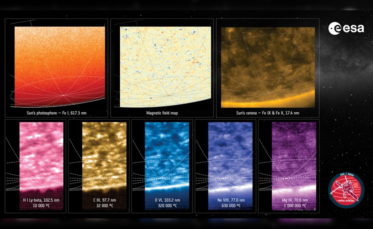 Eight views of the suns south pole obtained on March 16–17, 2025, by the Solar Orbiter spacecraft's the Polarimetric and Helioseismic Imager (Image/Reuters)