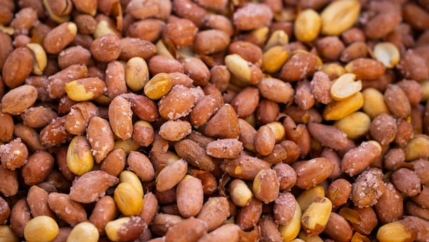 Latest and Breaking News on NDTV Latest and Breaking News on NDTV