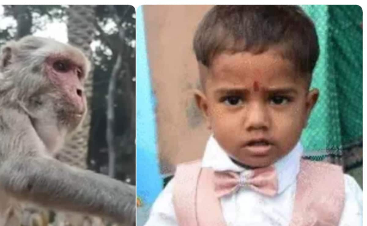 Latest and Breaking News on NDTV Latest and Breaking News on NDTV