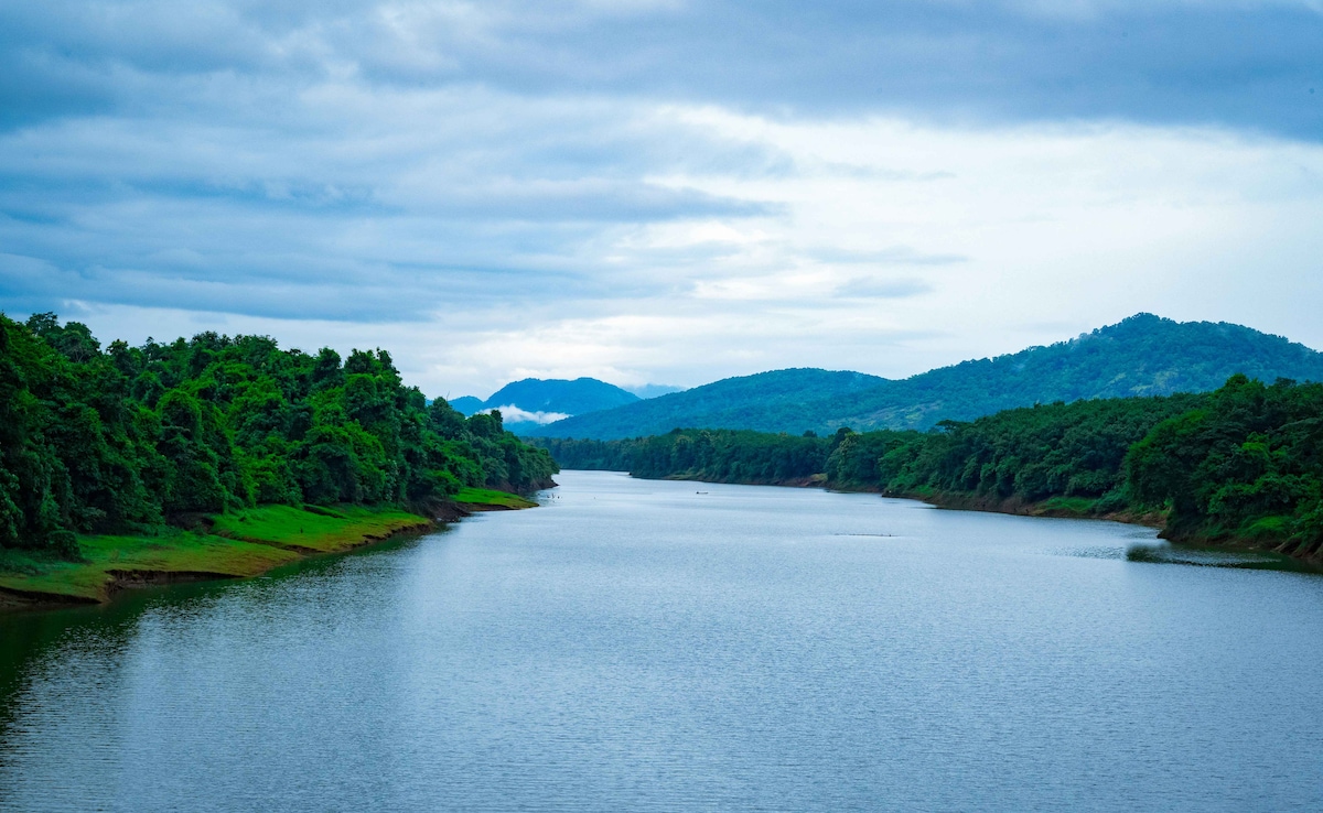 Photo: Unsplash Photo: Unsplash