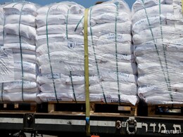 UN Says Most Flour Delivered In Gaza Looted Or Taken By Starving People UN Says Most Flour Delivered In Gaza Looted Or Taken By Starving People