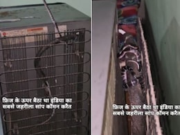 घर में आ रही थीं अजीब आवाजें, फ्रिज के पीछे देखते ही घरवालों के उड़े होश, छिपा बैठा था भारत का सबसे जहरीला सांप! घर में आ रही थीं अजीब आवाजें, फ्रिज के पीछे देखते ही घरवालों के उड़े होश, छिपा बैठा था भारत का सबसे जहरीला सांप!