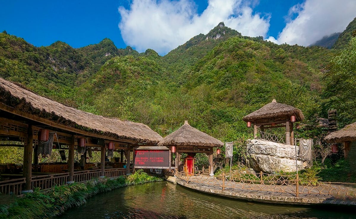 Latest and Breaking News on NDTV Latest and Breaking News on NDTV