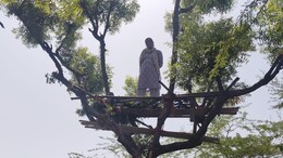 Rajasthan: सीकर में वन्यजीव गणना में रातभर जुटे रहे कर्मचारी, इलाके में दिखा पैंथर; सांभर का कुनबा भी बढ़ा